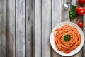 Simple spaghetti dish with tomato sauce and parsley, background left blank for adding message Royalty Free Stock Photo