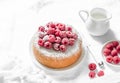 Simple sponge cake with powdered sugar and fresh raspberries on a light background. Summer berry dessert. Royalty Free Stock Photo