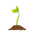 Simple sprouting seed drawing. Sprout, plant, tree growing agriculture icons. Vector illustration Royalty Free Stock Photo