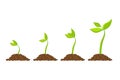 Simple sprouting seed drawing. Sprout, plant, tree growing agriculture icons. Vector illustration Royalty Free Stock Photo