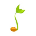 Simple sprouting seed drawing. Sprout, plant, tree growing agriculture icons. Vector illustration