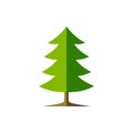 Simple Spruce Tree Illustration Symbol Graphic Design