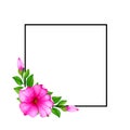 Simple square black frame with watercolor petunia flower and buds.Floral decorative template.Isolated on white background