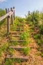 Simple stairs in a nature reserve