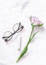 Simple still life on a white background - tulip flower, women`s glasses, lipstick. Free space for text, top view.
