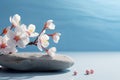 Simple stone and flowers scene on a light blue backdrop