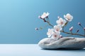 Simple stone and flowers scene on a light blue backdrop