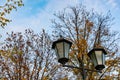 Simple street lights under the open sky. Black metal frame and dusty white glass