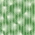 Simple stylized hawaii seamless talipot foliage branches pattern. Light ornament on background with green strips