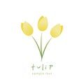 Simple and stylized tulip flowers isolated on white background