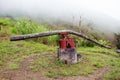 Simple sugar cane press machine, Ecuador Royalty Free Stock Photo