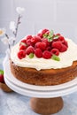 Simple summer cake with raspberries and frosting