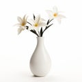 Simple Tapered Vase Flowers - White Background