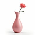 Simple Tapered Vase With Rose - White Background