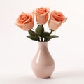 Simple Tapered Vase With Rose - White Background