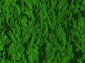 Simple texture in green tones. Abstraction combines thin strips of grass.