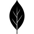 A simple transparent leaf icon on white background Royalty Free Stock Photo