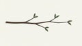 Of a simple tree branch with a brown slender structure and green Royalty Free Stock Photo