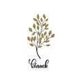 Simple Tree branch with gold leaves. vector plant, isolated on white background with word branch. Design element for logo and