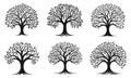 Simple tree silhouettes. Environmental trees with curved branches and foliage vector icons, black nature wood graphics