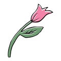 Simple tulip cartoon icon on white background, spring bloom vector.