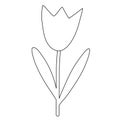 Simple tulip flower, spring design element, doodle style flat vector outline for coloring book