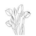 simple tulip line drawing, tulip flower vector art, tulip flower line art, tulip vector, outline tulip flower illustration,