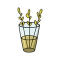 Simple twigs with autumn leaves in a tall glass vase, vector cartoon