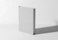 Minimalist light gray rectangular box standing tall against a white background with subtle shadow Royalty Free Stock Photo
