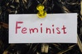 A simple and understandable inscription, feminist Royalty Free Stock Photo