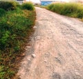 a simple and unspoiled rural road with green nature