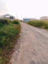 a simple and unspoiled rural road with green nature