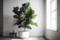 simple vase of fresh flowers surrounded by lush indoor plants