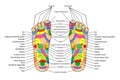 simple vector acupuncture, traditional alternative heal, left and right foot and english description