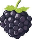 simple vector blackberry clipart Royalty Free Stock Photo