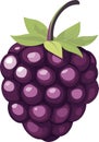 simple vector boysenberry clipart Royalty Free Stock Photo