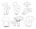 Simple vector freehand drawing in black outline. Mushrooms isolated on a white background. Element of nature, forest, autumn.