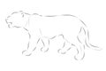 simple vector hand draw sketch tige or big deer, isolated on white Royalty Free Stock Photo