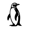 Simple Vector Icon of Magellanic Penguins Logo Illustration. Royalty Free Stock Photo