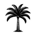 Simple Vector Icon of a Moriche Palm Ã¢â¬\' Logo Design Illustration. Royalty Free Stock Photo