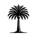 Simple Vector Icon of a Moriche Palm Ã¢â¬\' Logo Design Illustration. Royalty Free Stock Photo