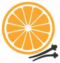 Simple vector icon of an orange slice and aromatic cloves for winter spices Royalty Free Stock Photo