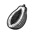 Simple Vector Icon of Papaya Logo Illustration. Royalty Free Stock Photo