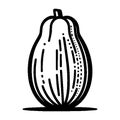 Simple Vector Icon Papaya Logo Illustration. Royalty Free Stock Photo