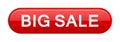 Big sale button Royalty Free Stock Photo