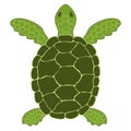 Simple vector illustration of a green sea turtle Chelonia mydas Royalty Free Stock Photo