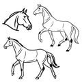 A simple vector illustration of a horse Royalty Free Stock Photo