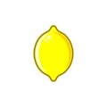 Simple vector lemon illustration Royalty Free Stock Photo