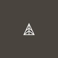 Simple vector line art geometric outline iconic sign of triangular abstract spruce