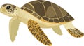 simple vector loggerhead turtle clipart